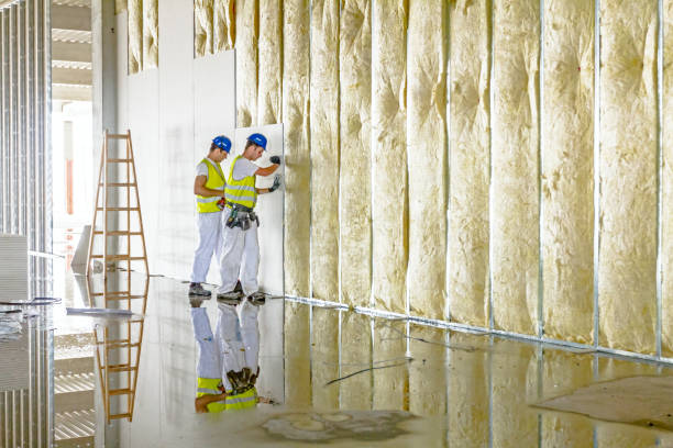 Best Geographic-Specific Insulation Services in North Key Largo, FL